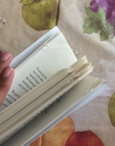 2015-07-13 16.27.44 HDR