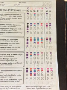 2016-03-21 12.38.52 HDR